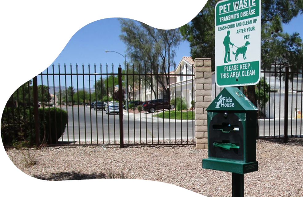 Reasons Why Dog Poop Cleanup is Important